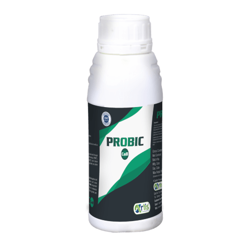 PROBIC CAB (PROBIOTIC CALCIUM + BORON)